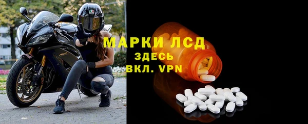 стафф Аркадак