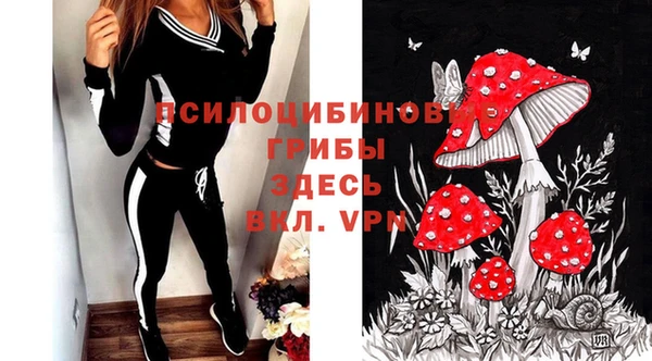 стафф Аркадак