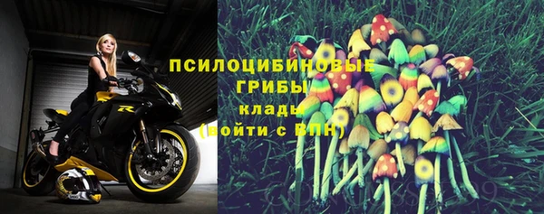 гашик Армянск