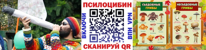 дарк нет клад  Ясный  Галлюциногенные грибы ЛСД  купить  цена 
