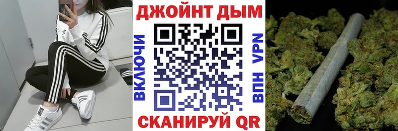 где найти наркотики  Ясный  Конопля индика 
